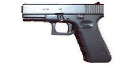 G17.png