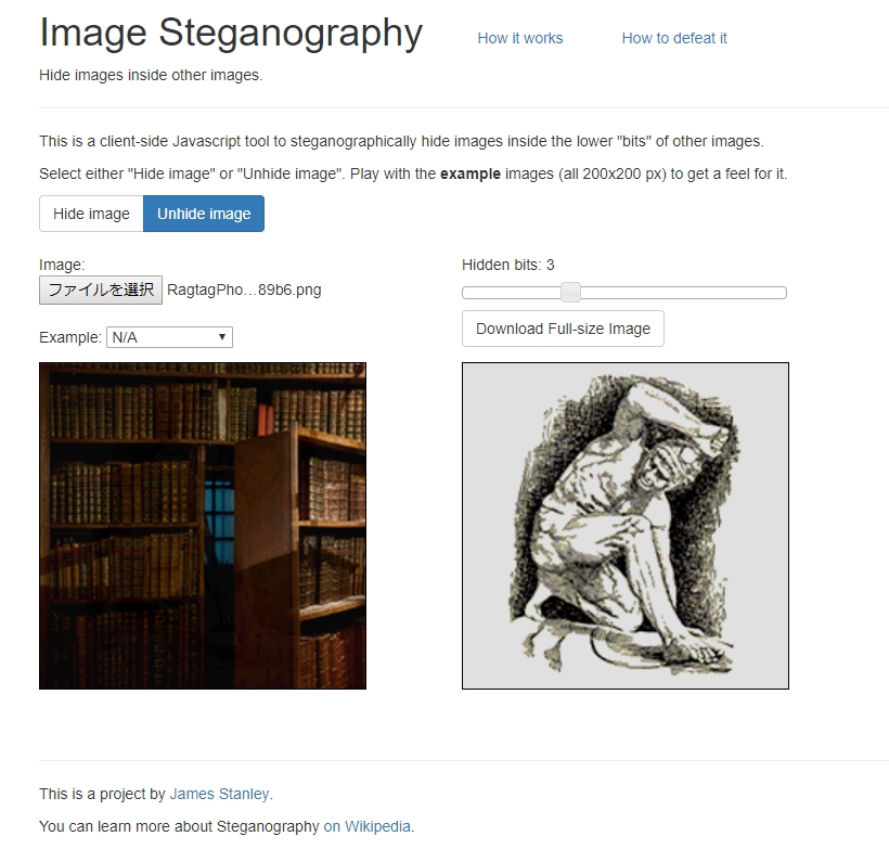 Image Steganography.JPG