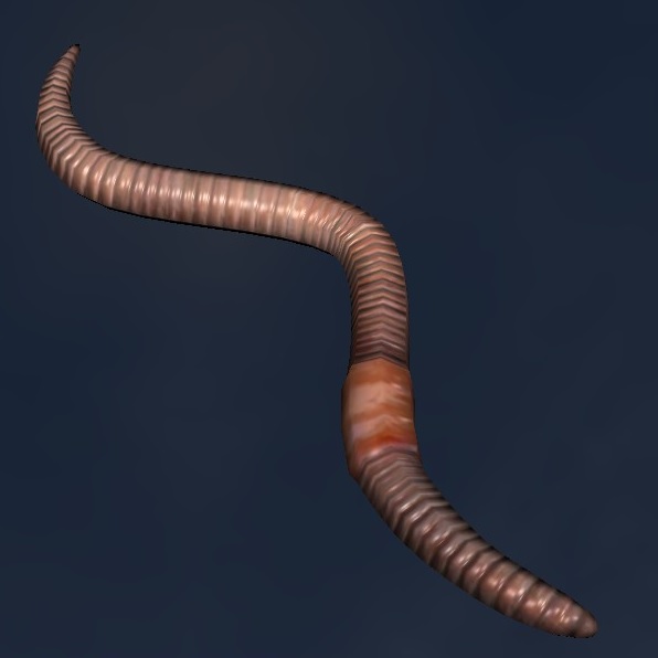 Earthworm.jpg