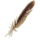Feather.png