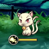 猫.jpg