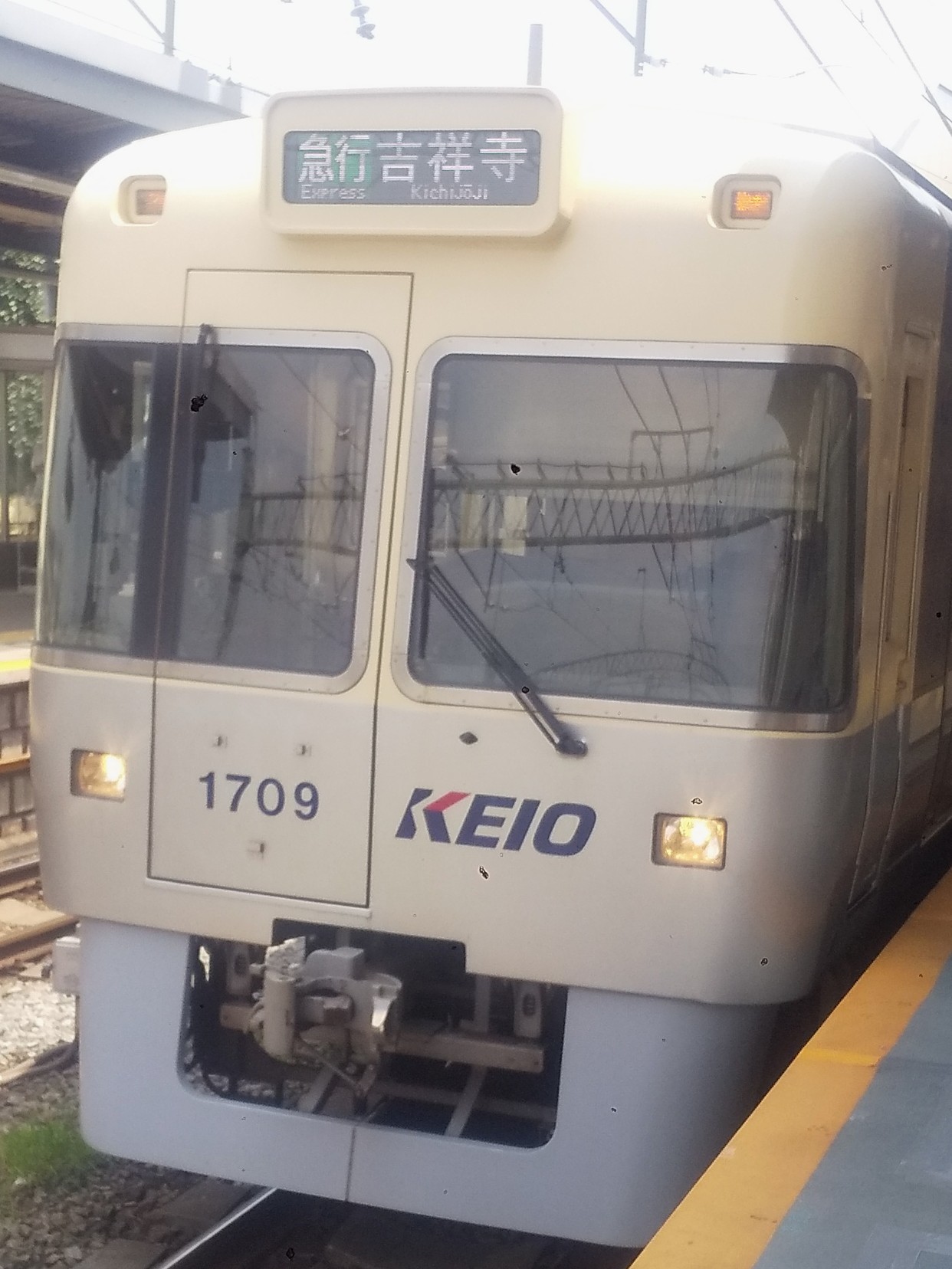 Ko-1709.JPG