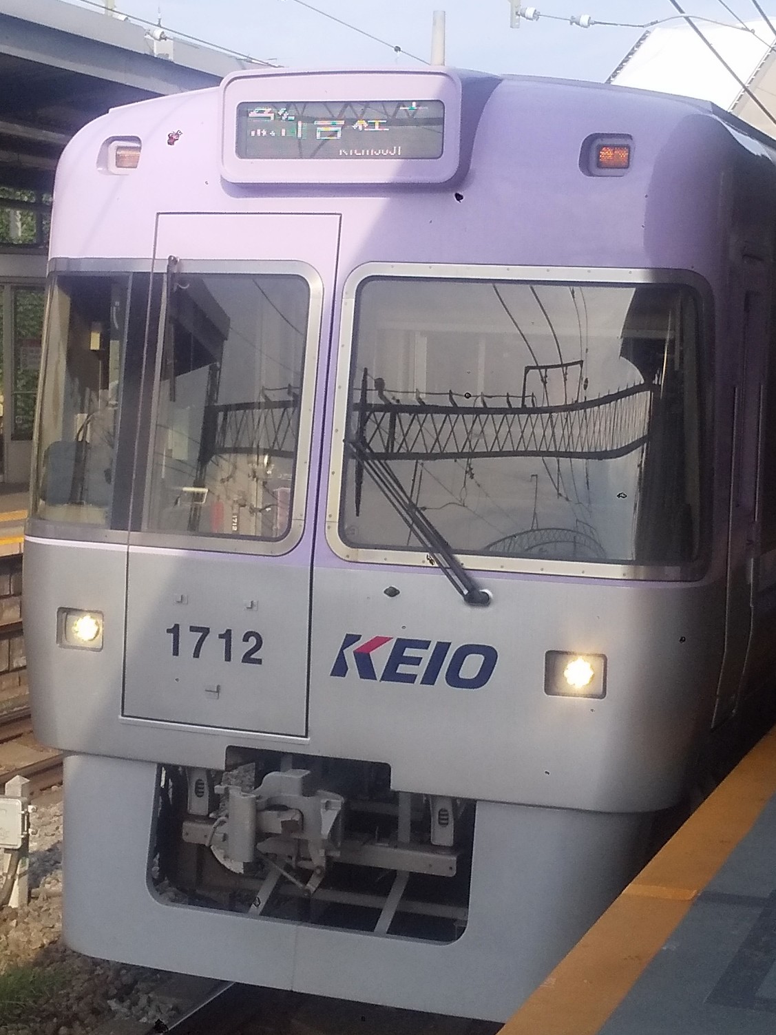 Ko-1712.JPG