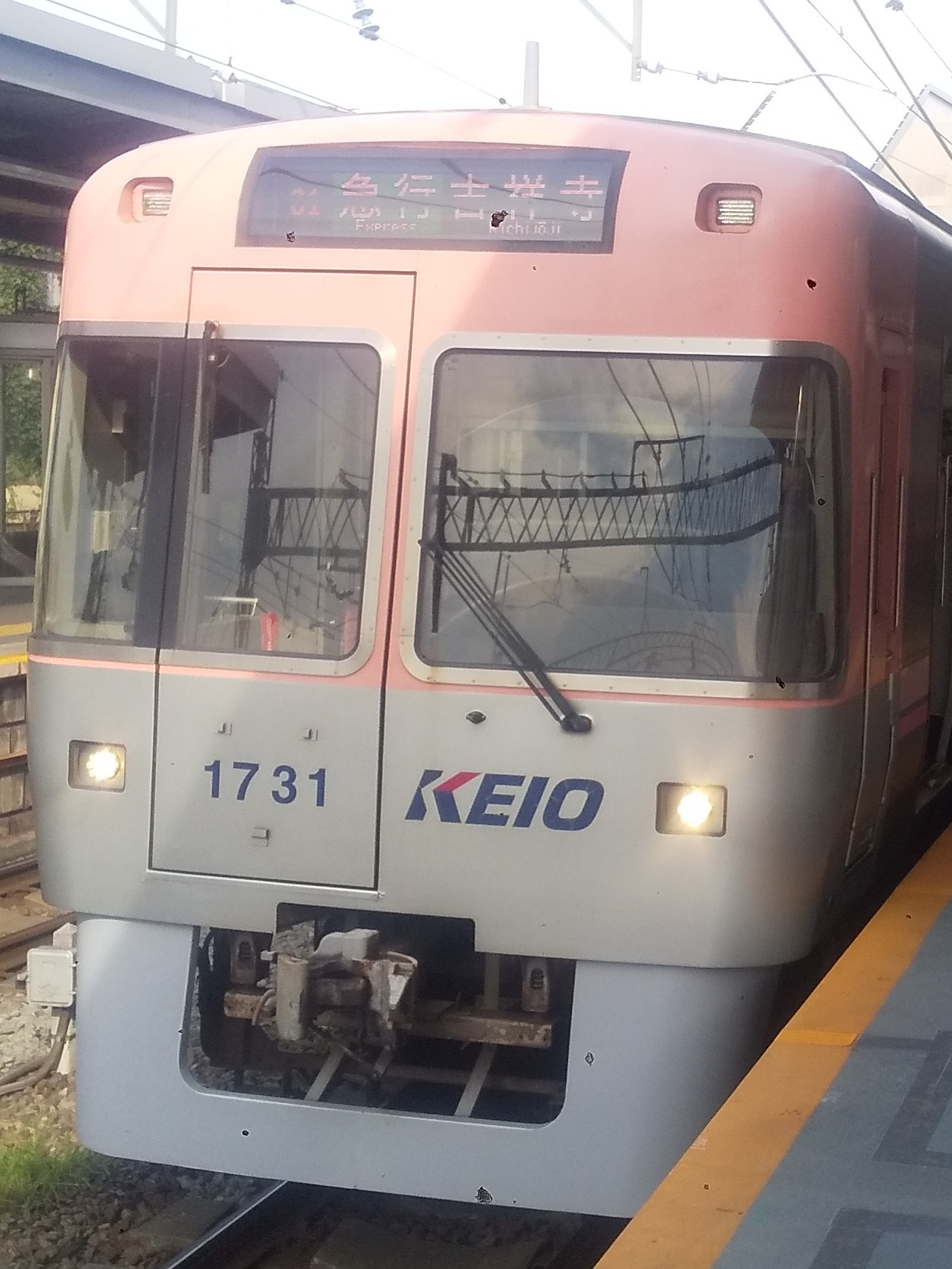 Ko-1731.JPG