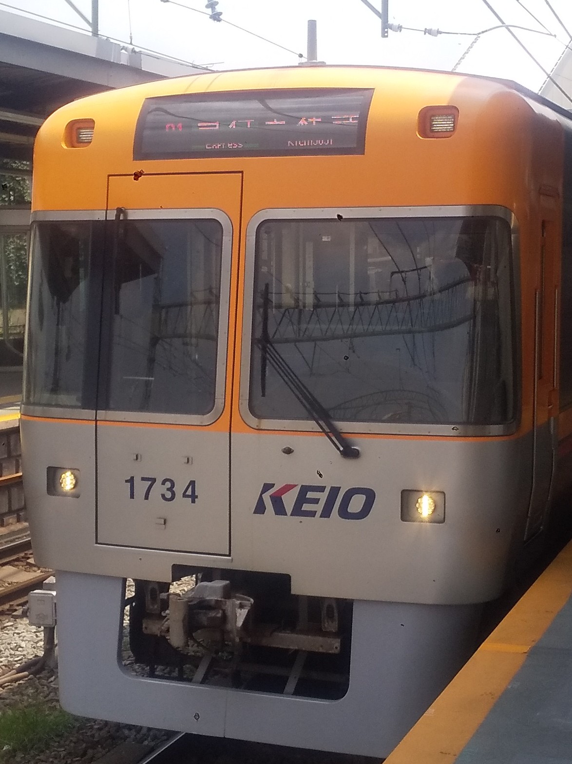 Ko-1734.JPG