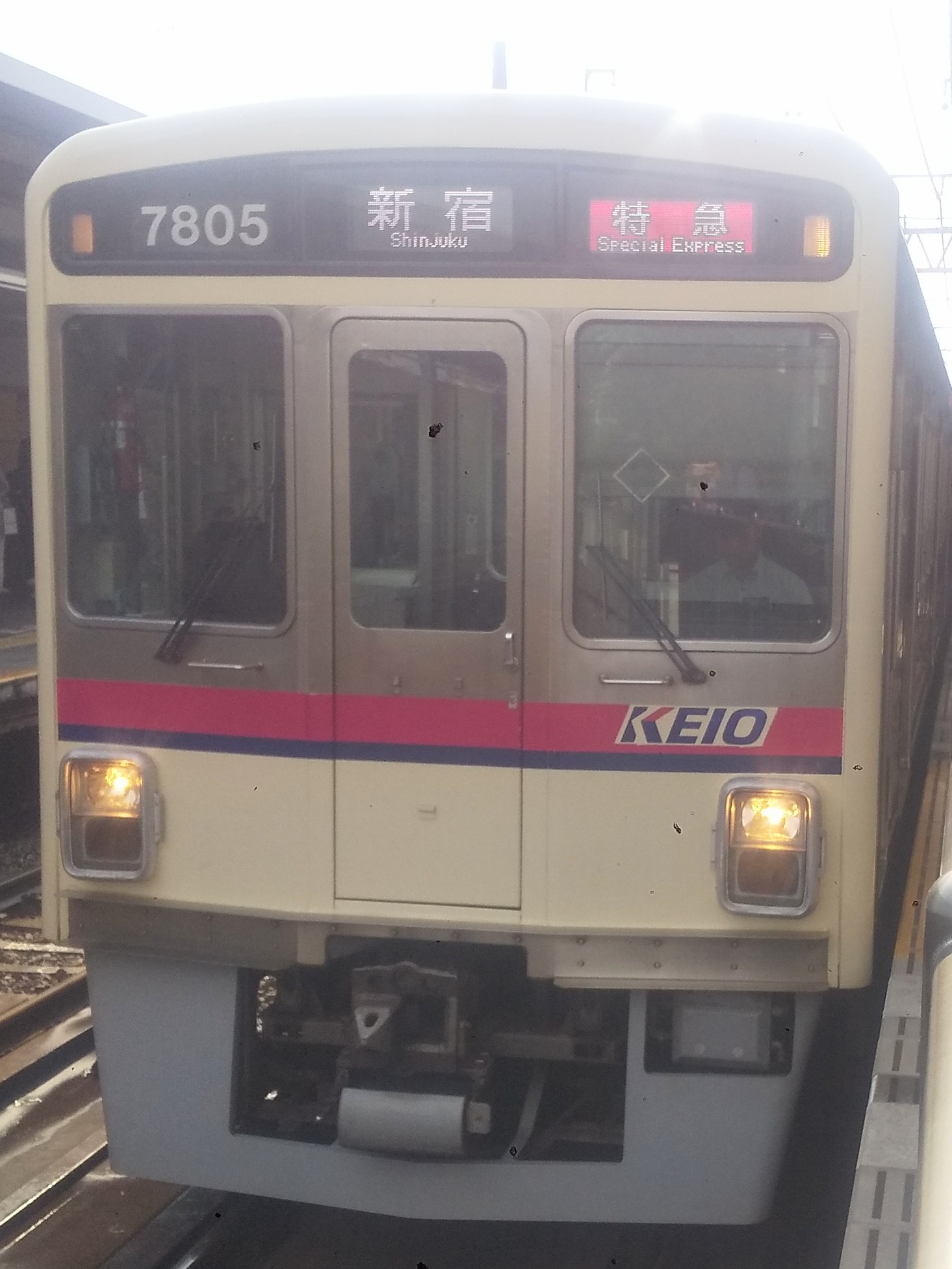 Ko-7805.jpg
