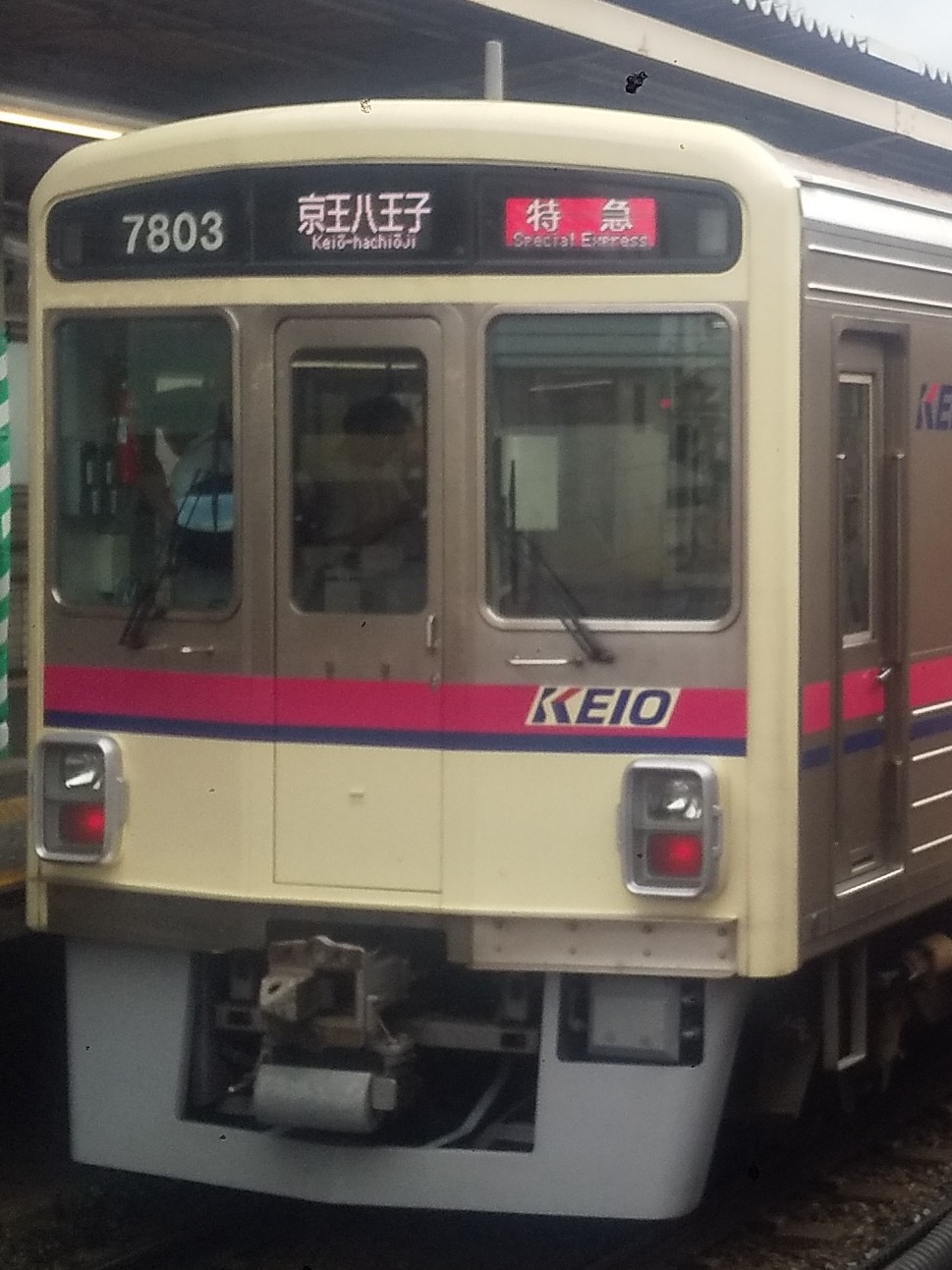 Ko7803.jpg