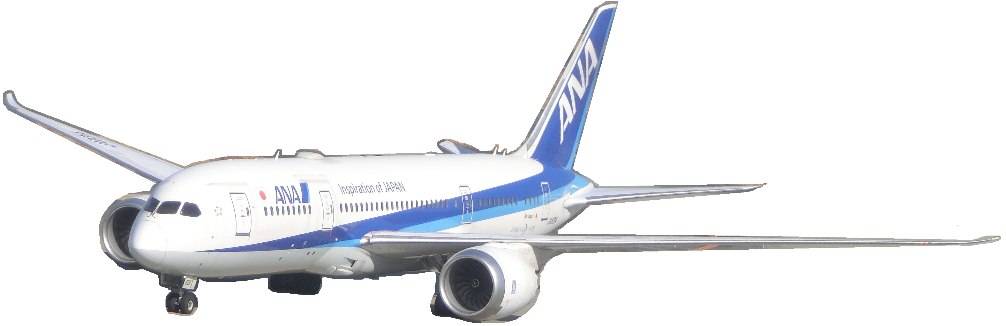 B787JA831A.jpg