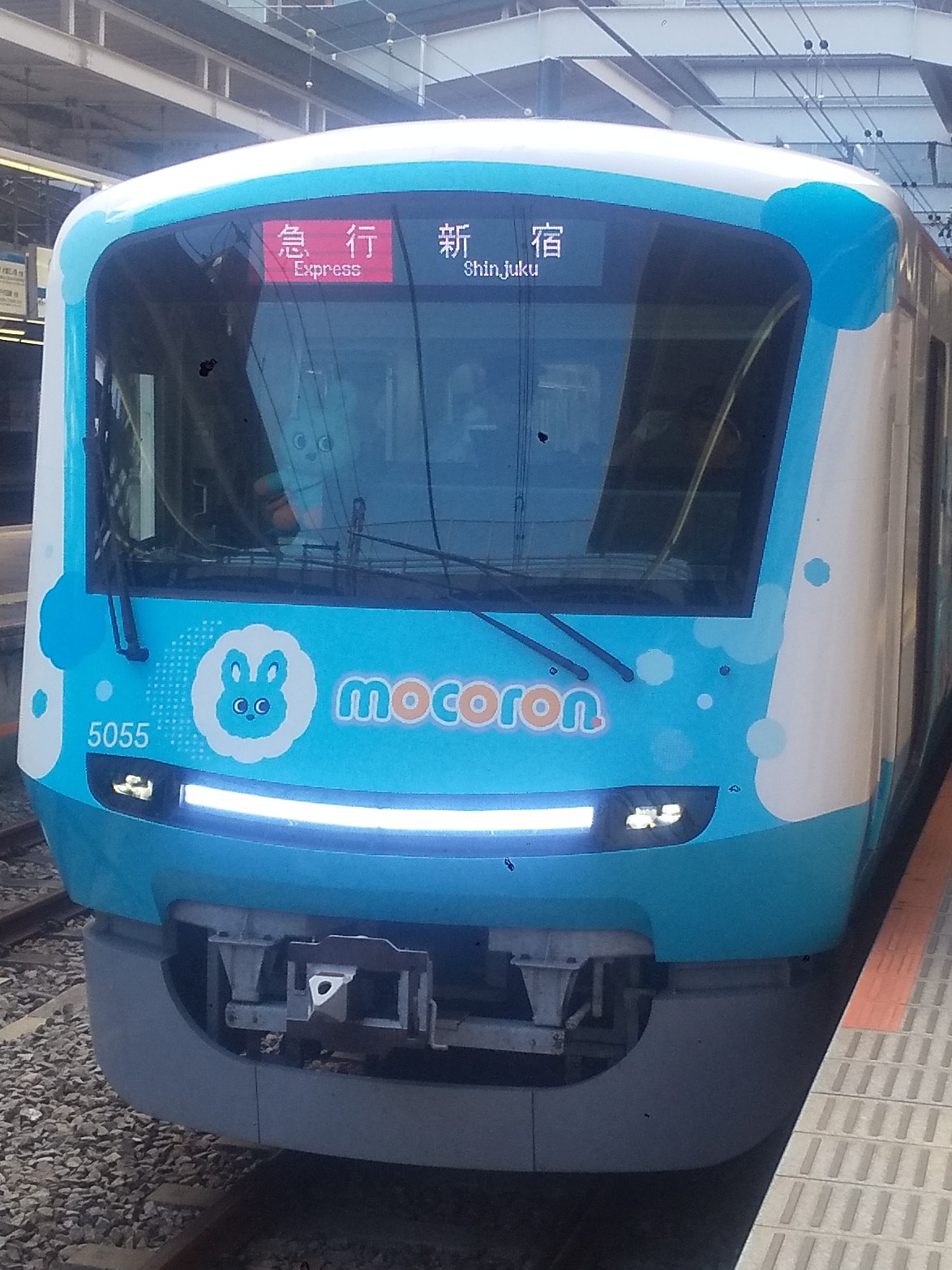 OER5055-2.JPG