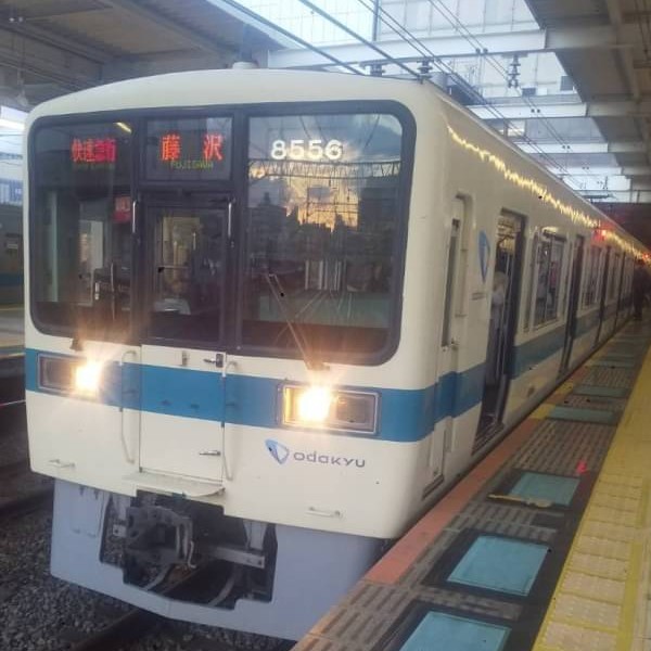OER8256.jpg