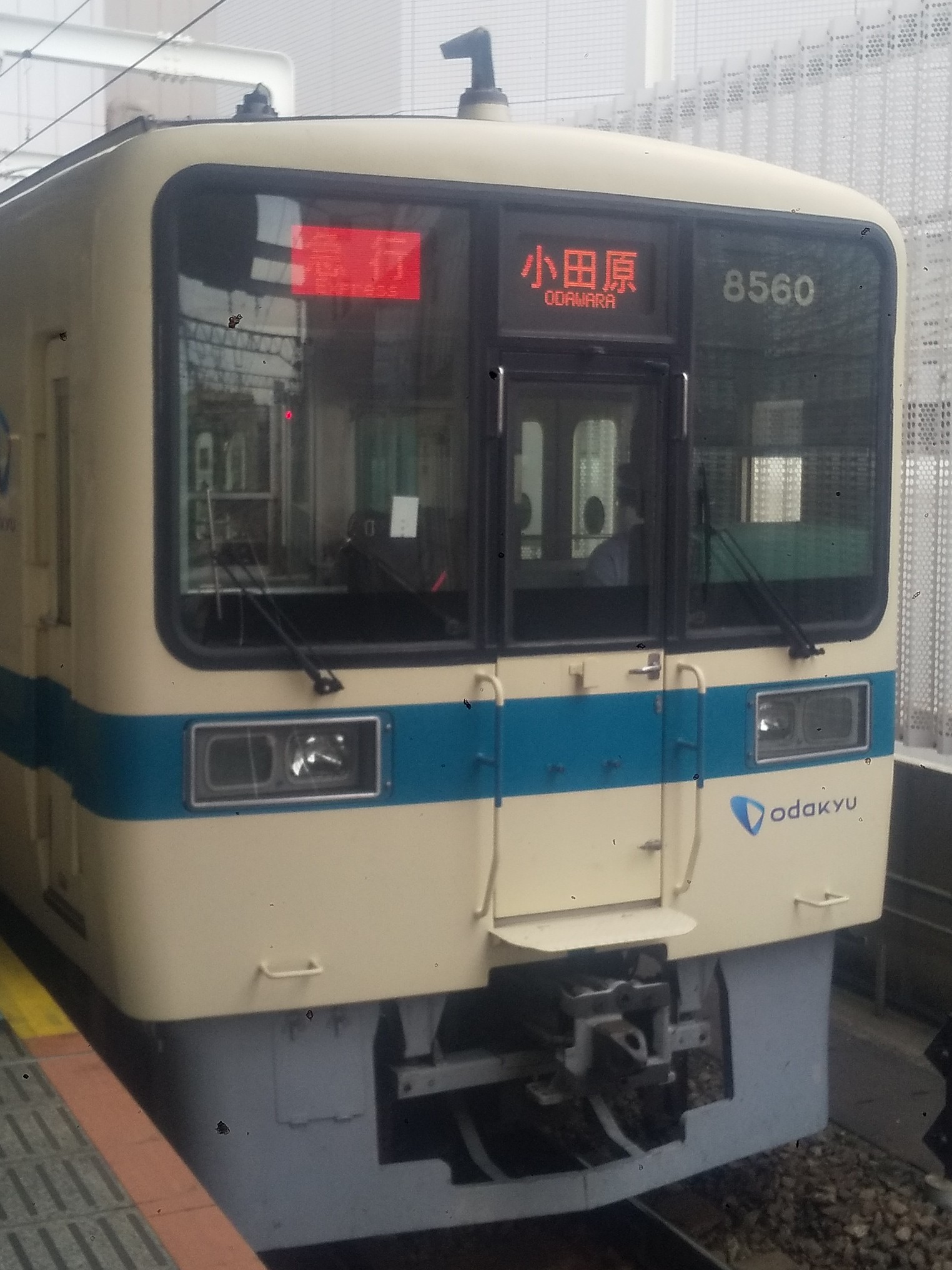 OER8260.JPG