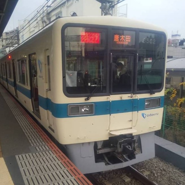OER8262.jpg