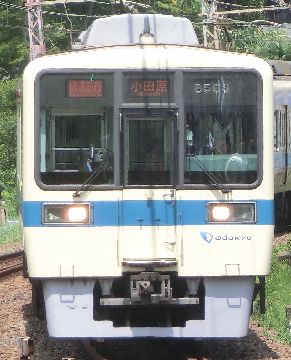 OER8263元.jpg