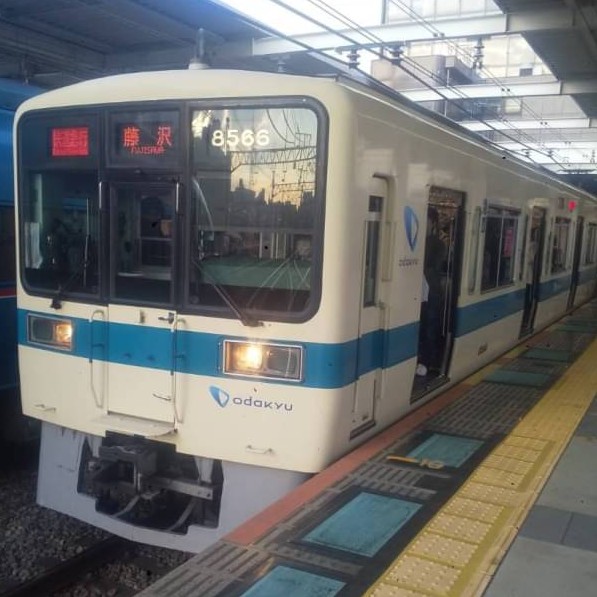OER8266.jpg