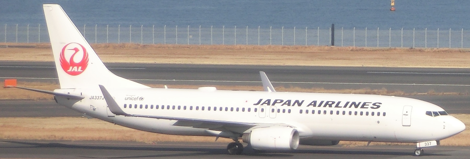 B737JA337J.jpg