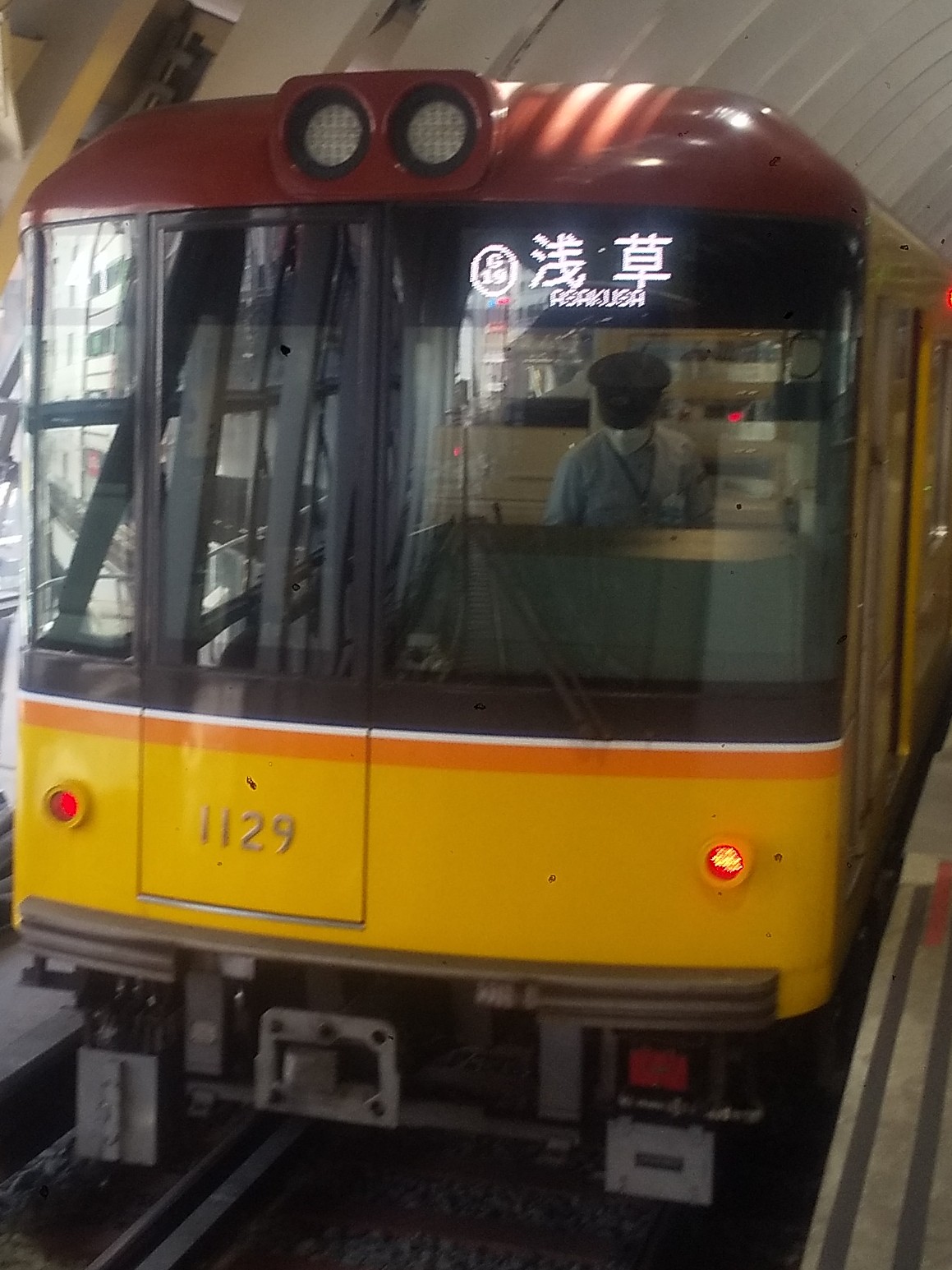 tms1129.JPG