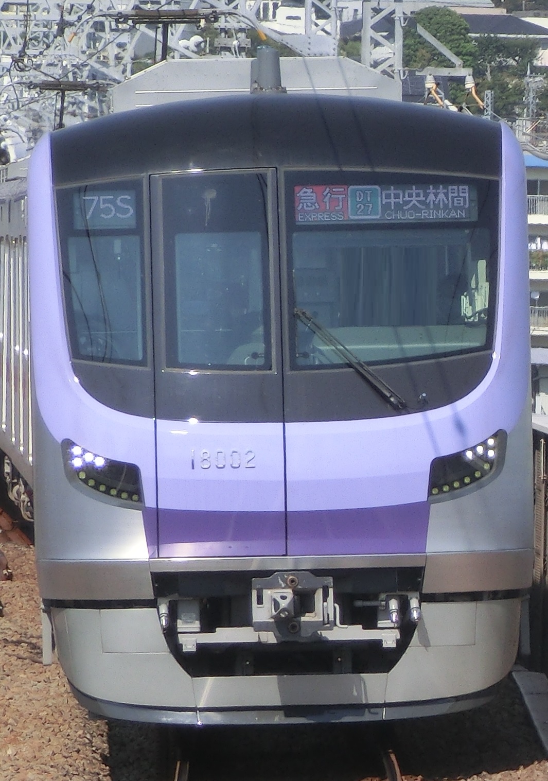 tms18102.jpg