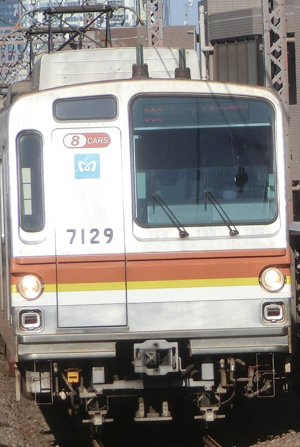 7129元.jpg