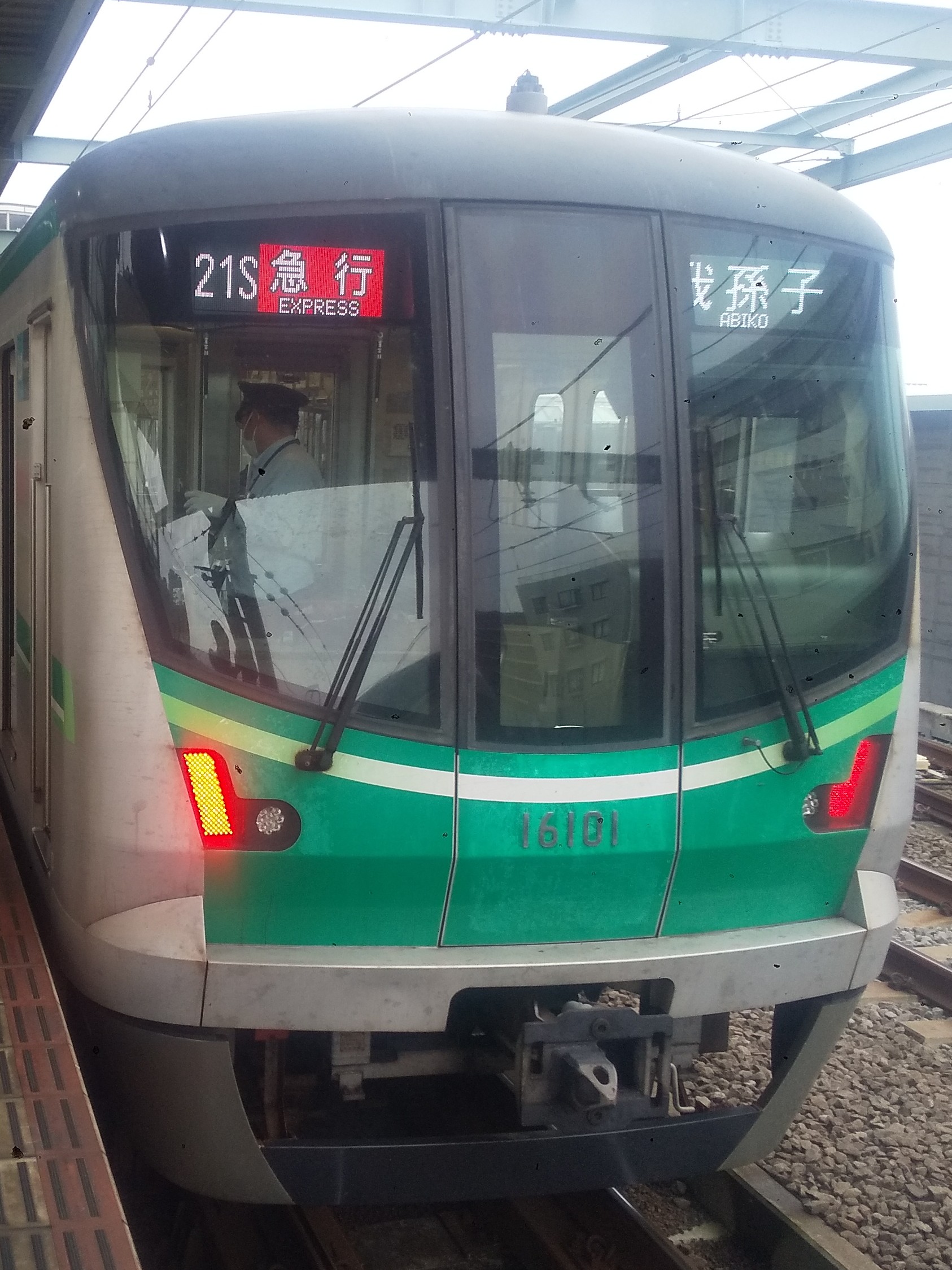 tms16101.JPG