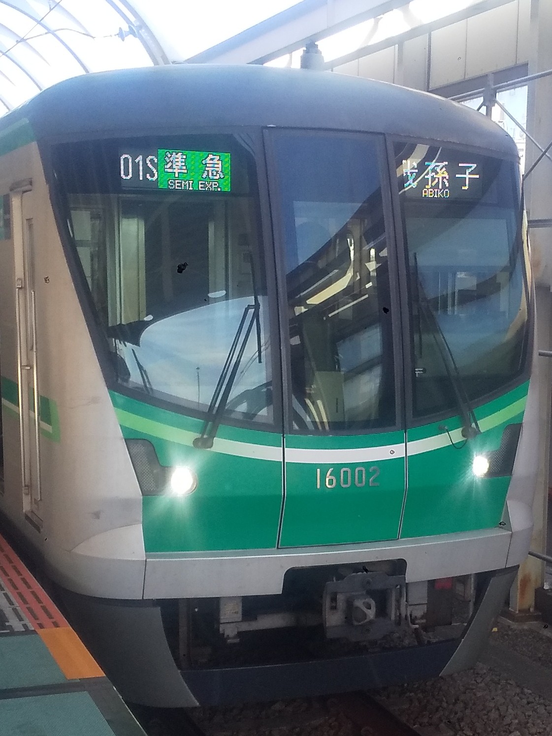 tms16102.JPG