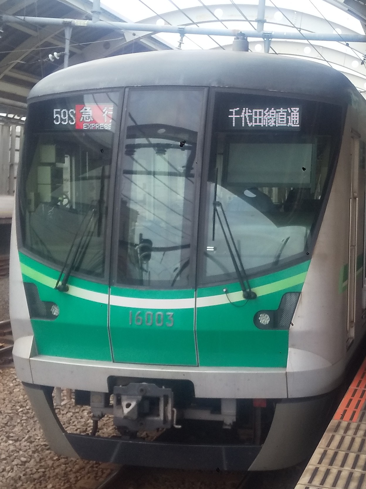 tms16103.JPG