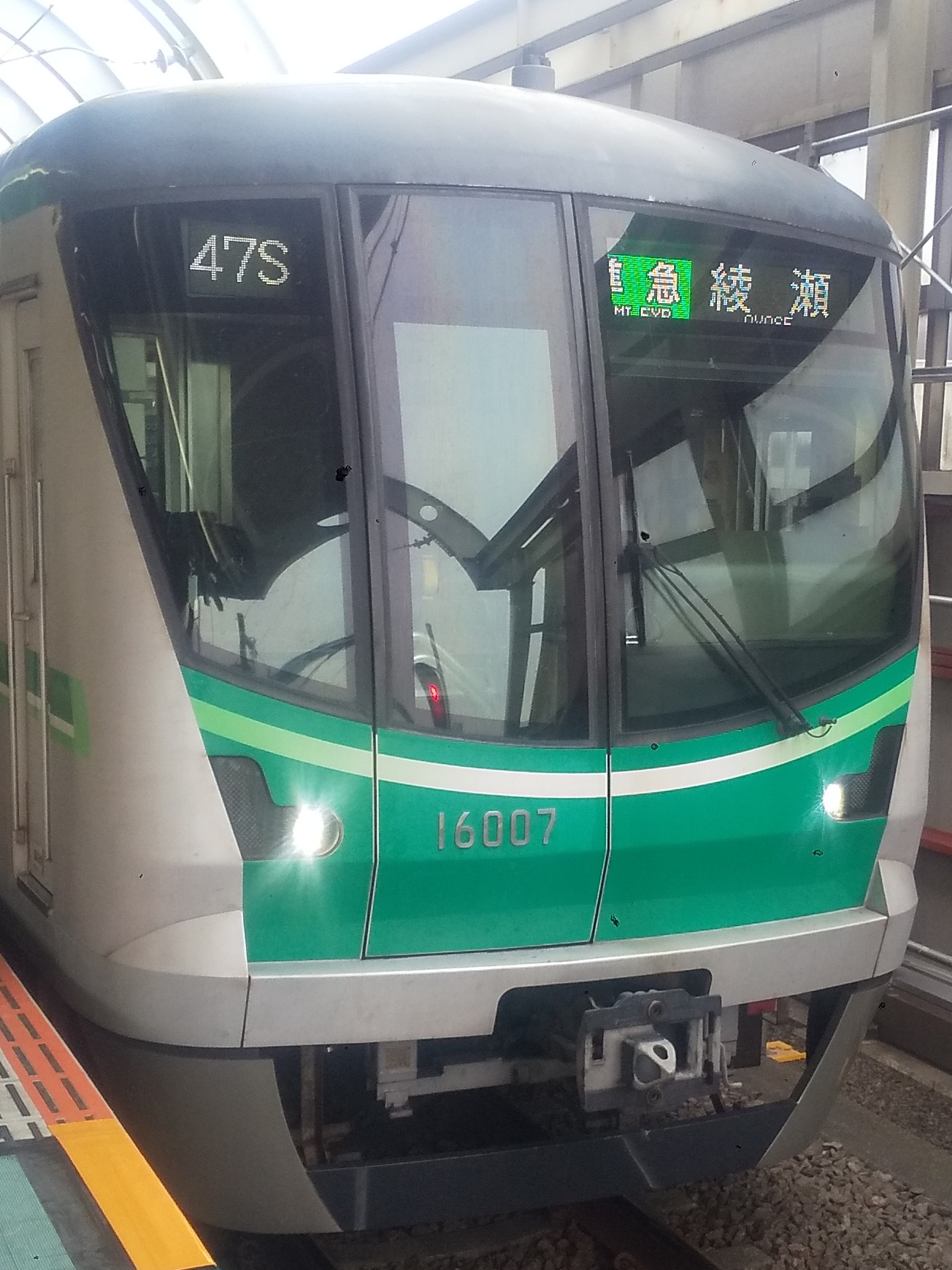 tms16107.JPG