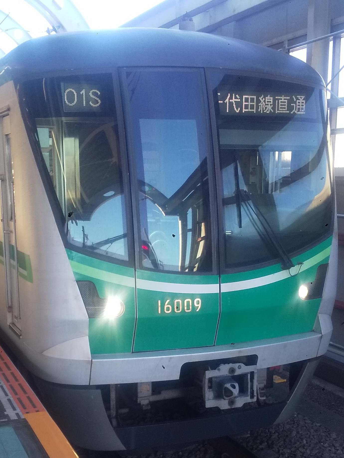 tms16109.JPG