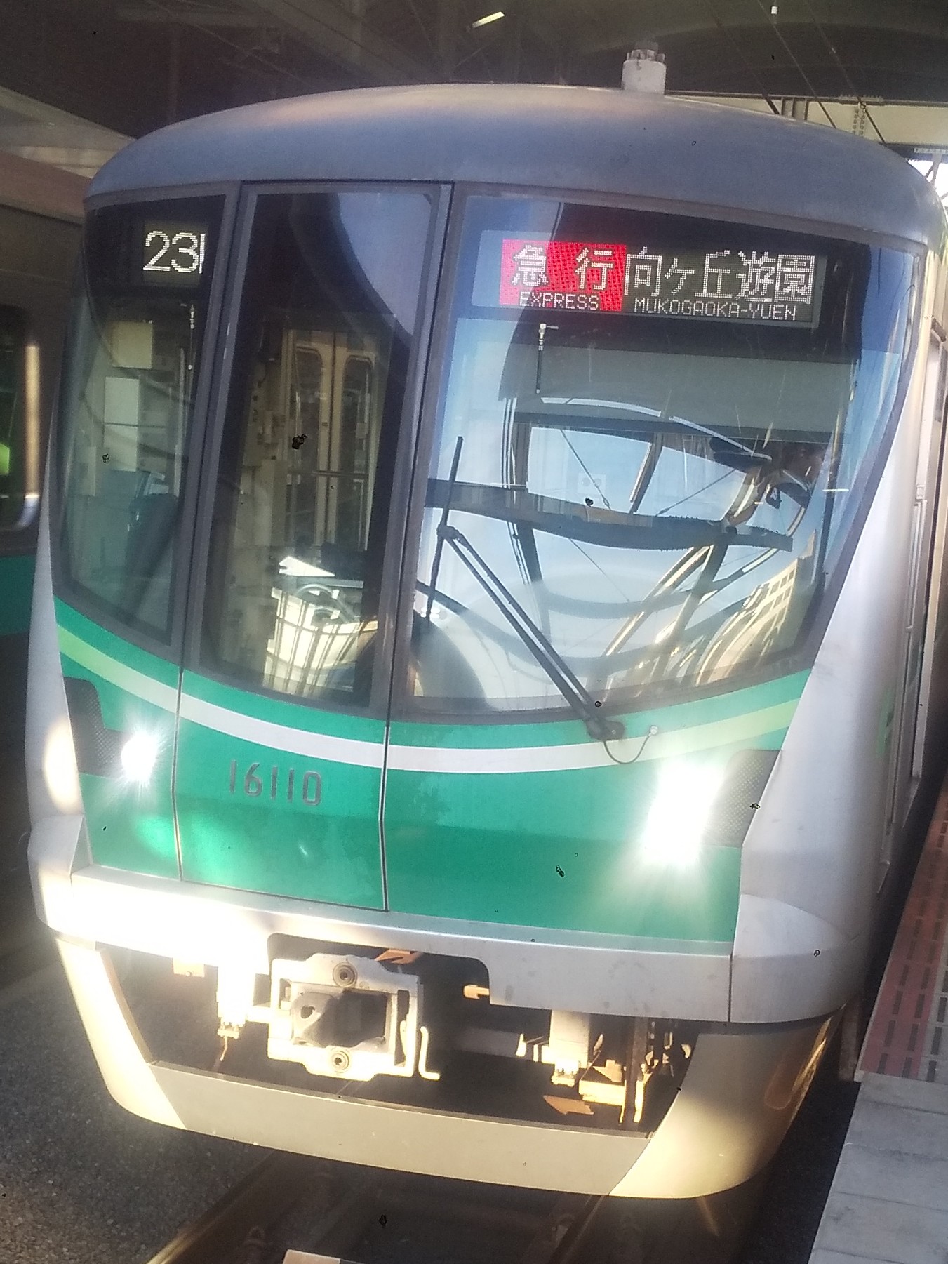 tms16110.JPG