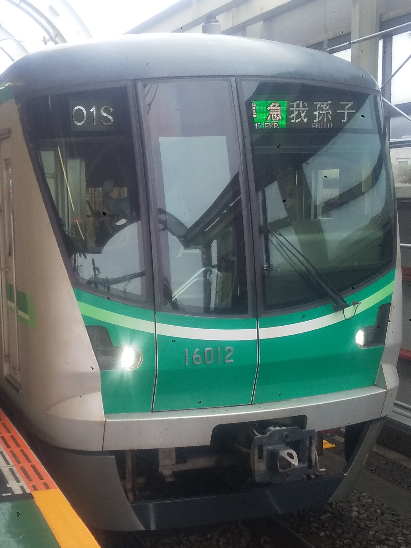 tms16112.JPG
