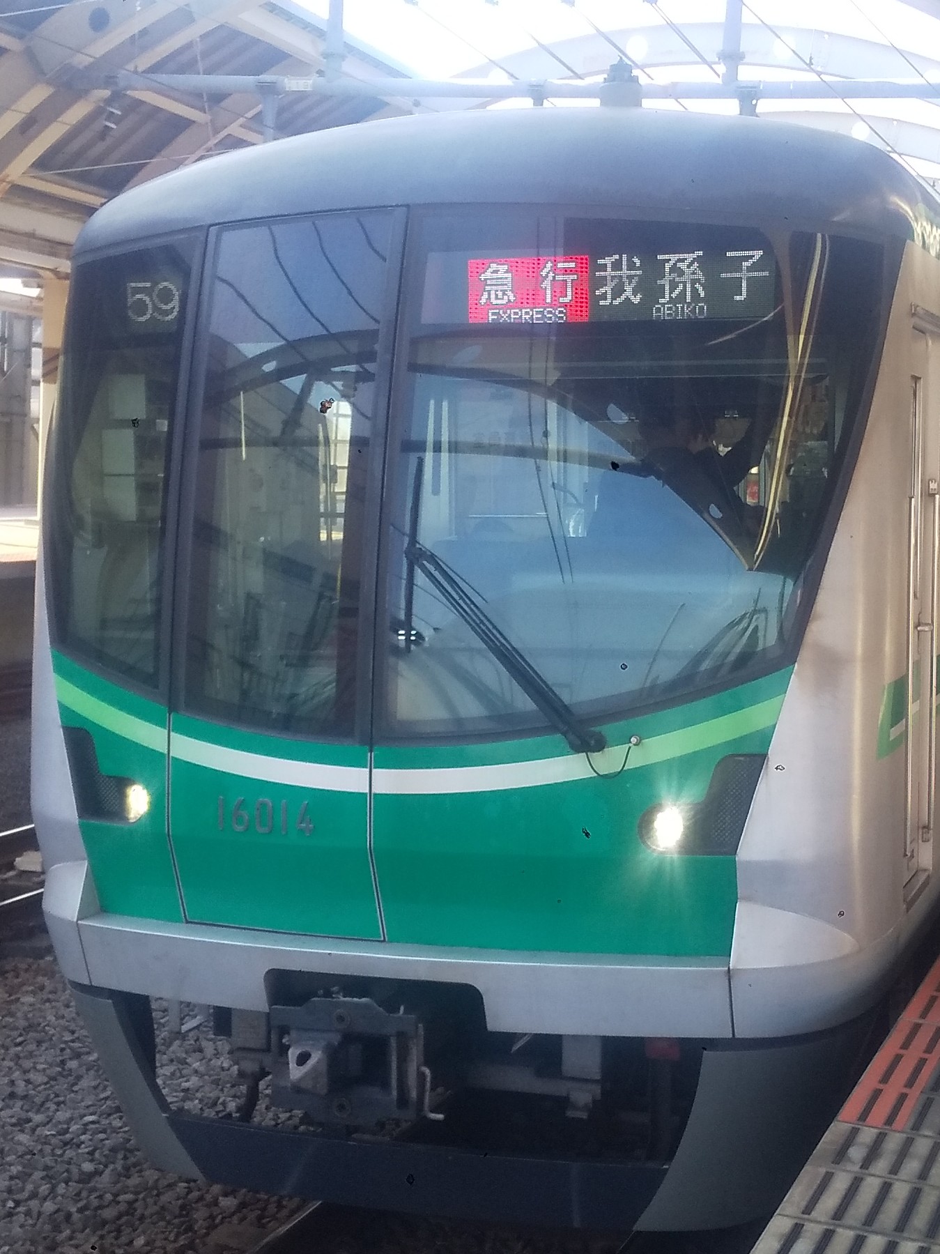 tms16114.JPG