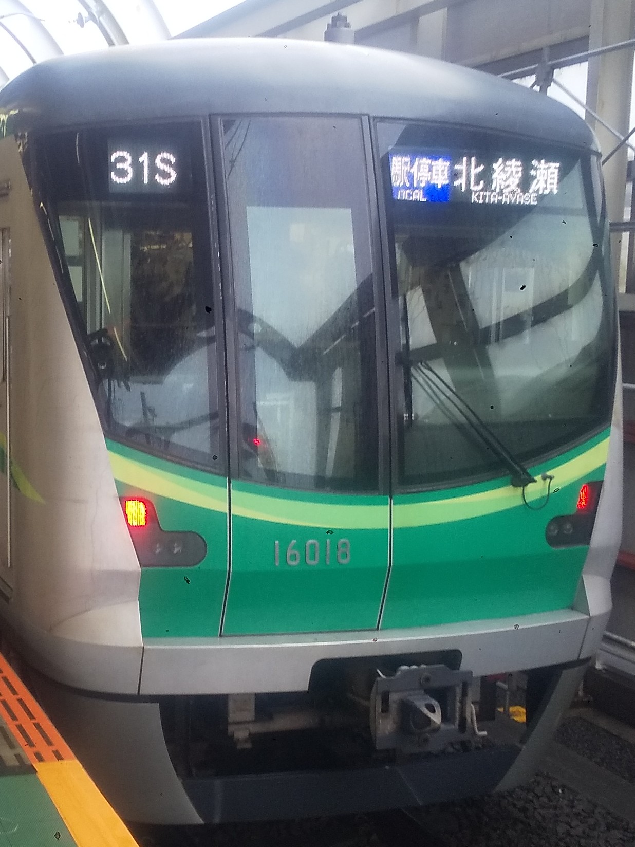 tms16118.JPG