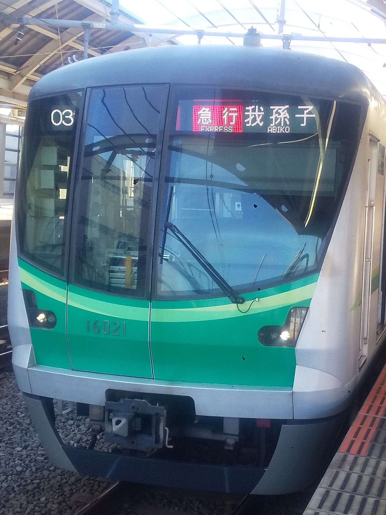 tms16121.JPG
