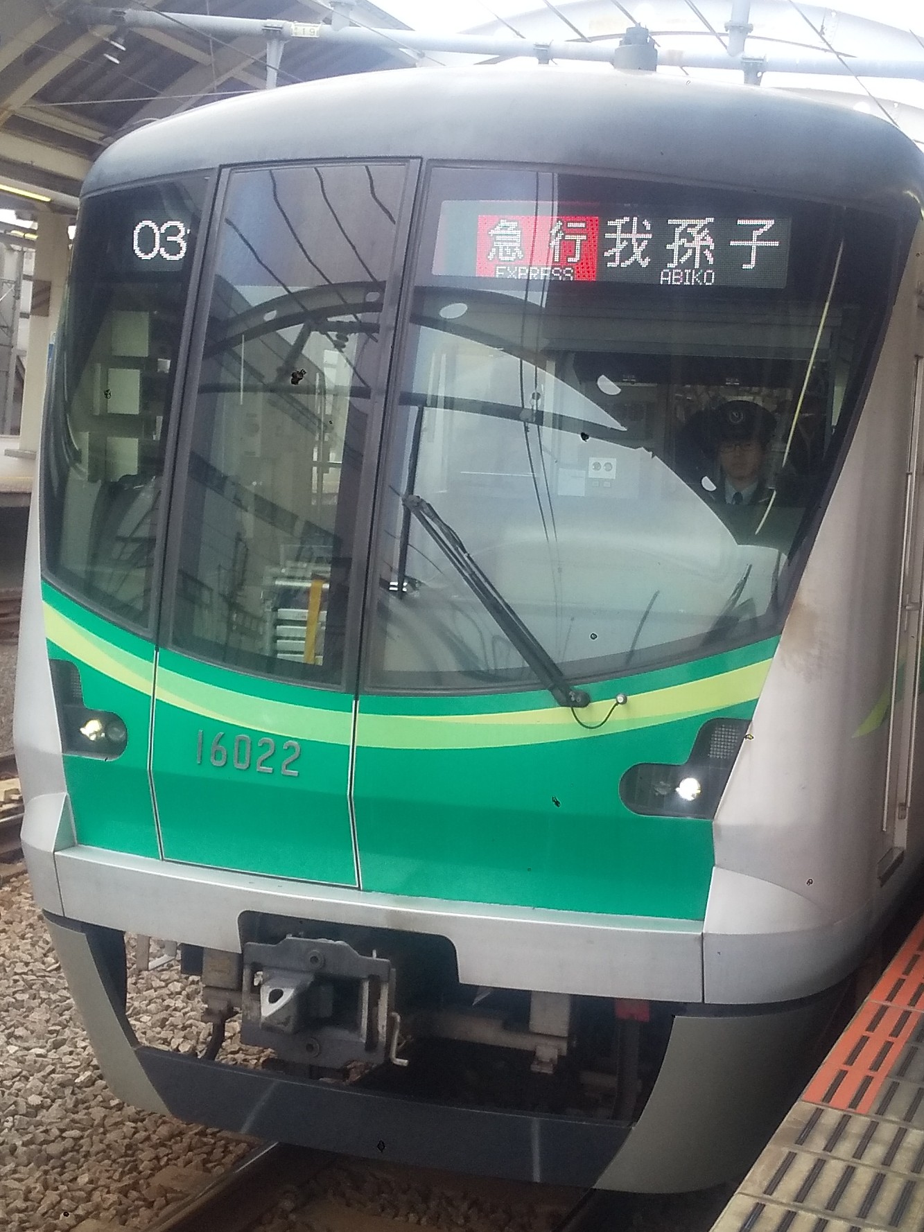 tms16122.JPG