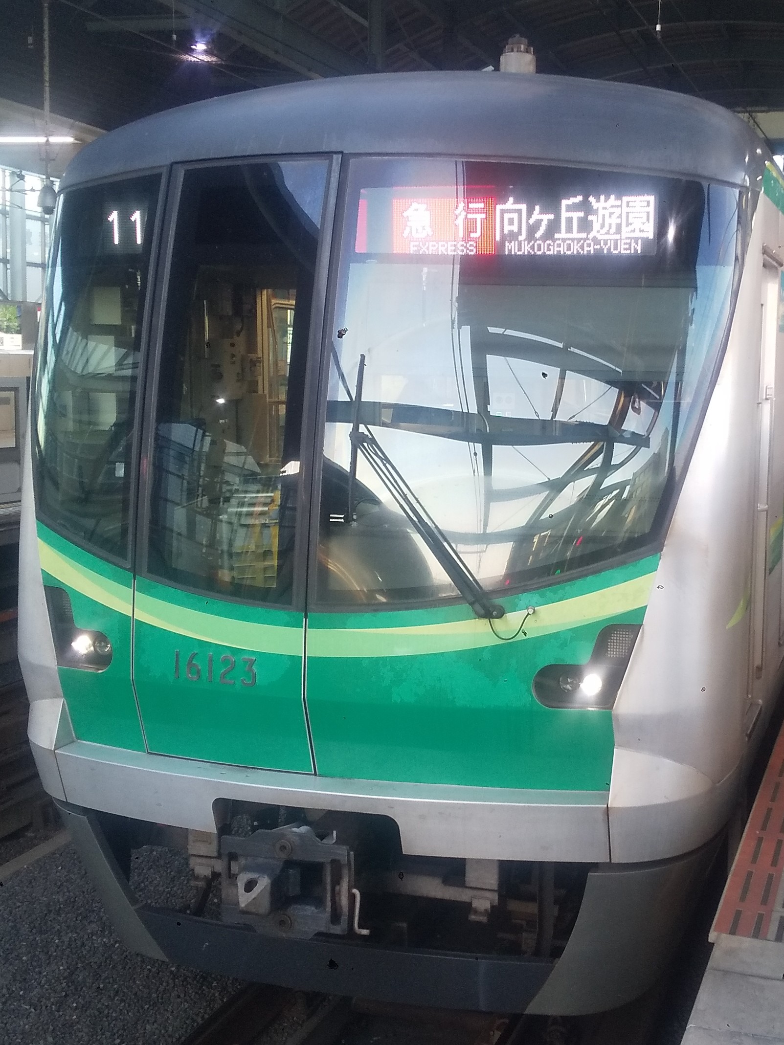 tms16123.JPG
