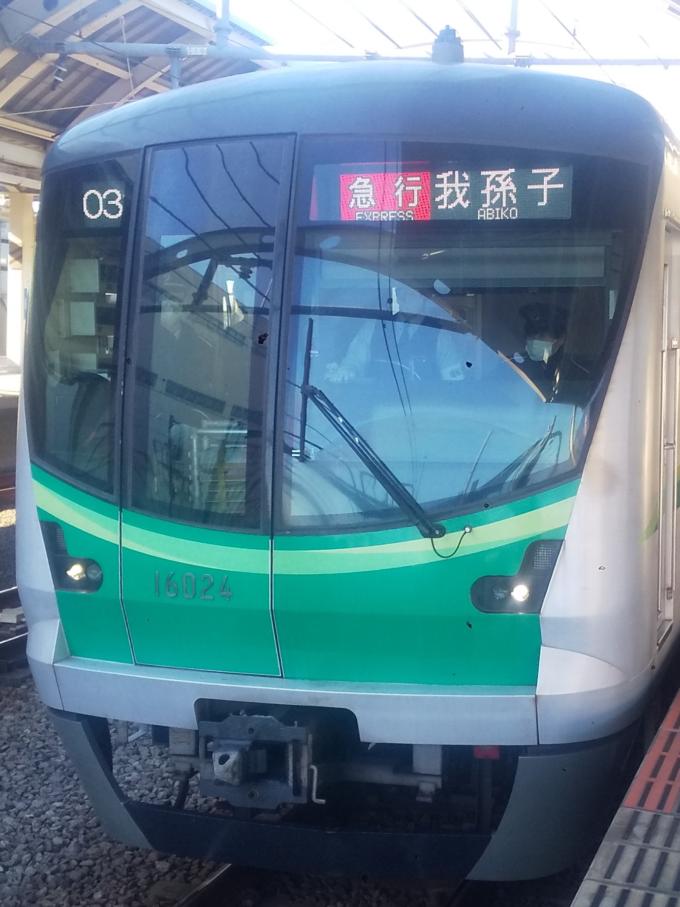 tms16124.JPG