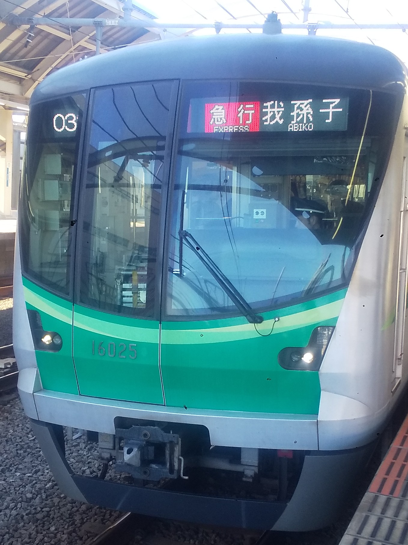tms16125.JPG