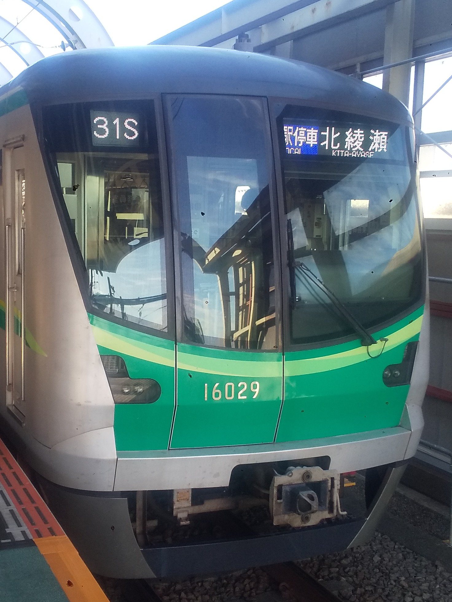 tms16129.JPG
