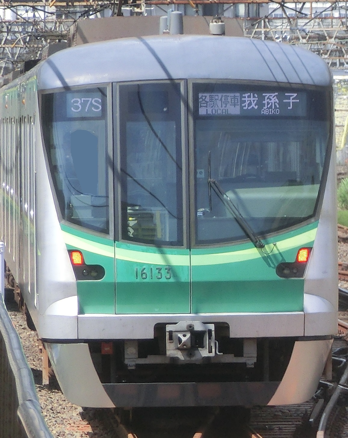tms16133.jpg