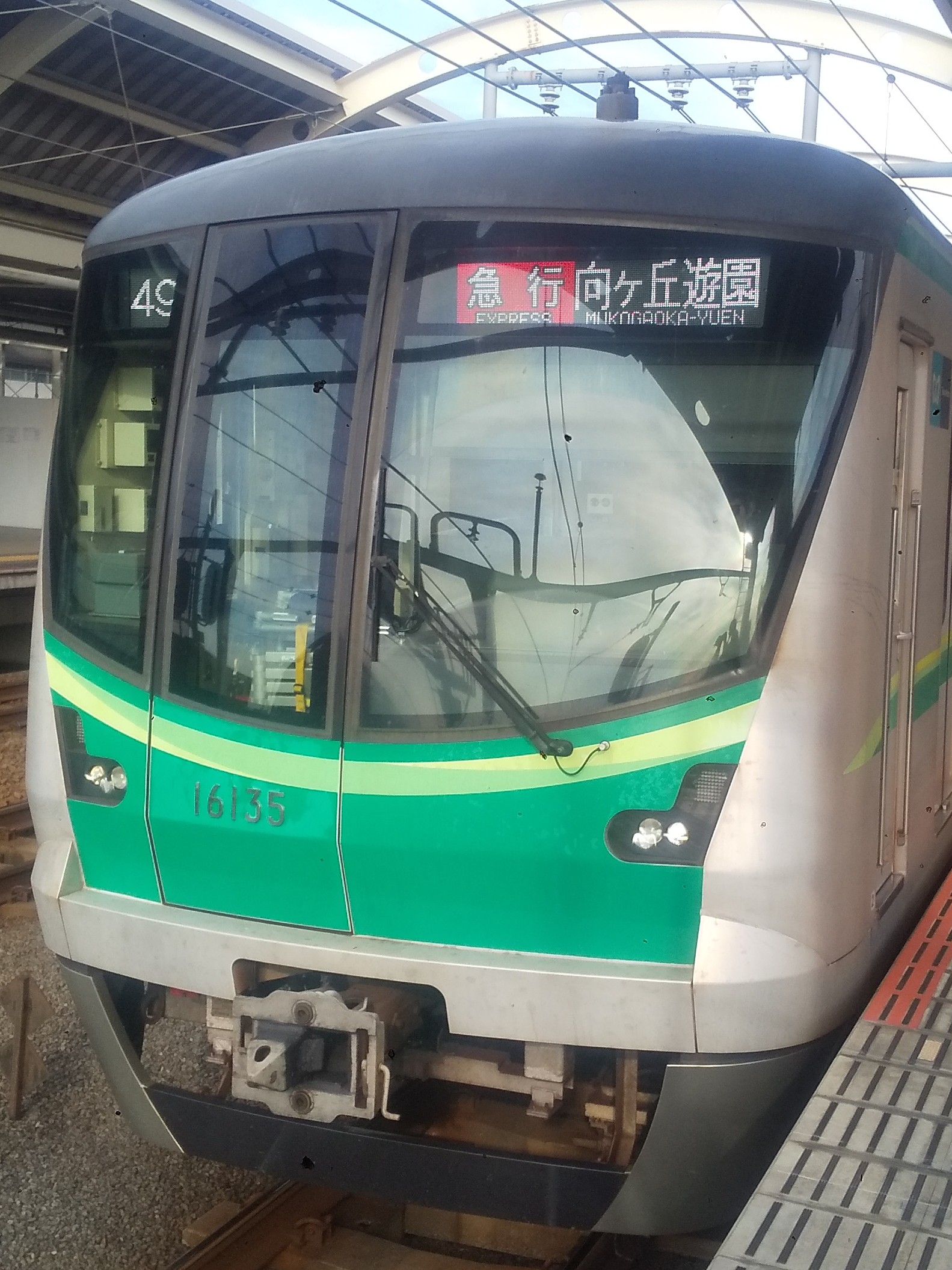 tms16135.JPG