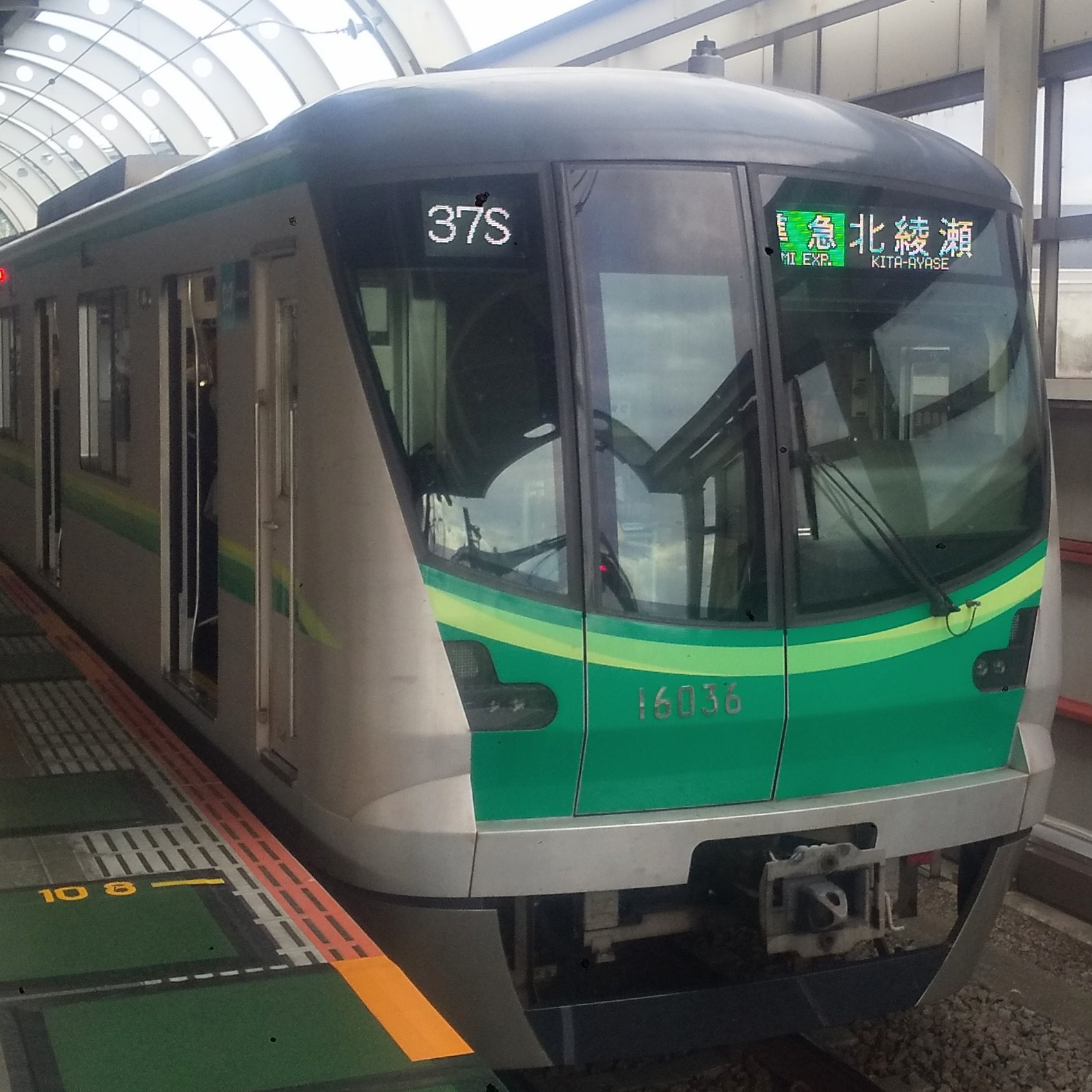 tms16136.JPG