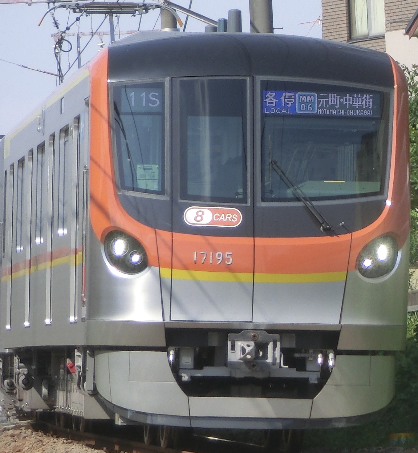 tms17195.jpg