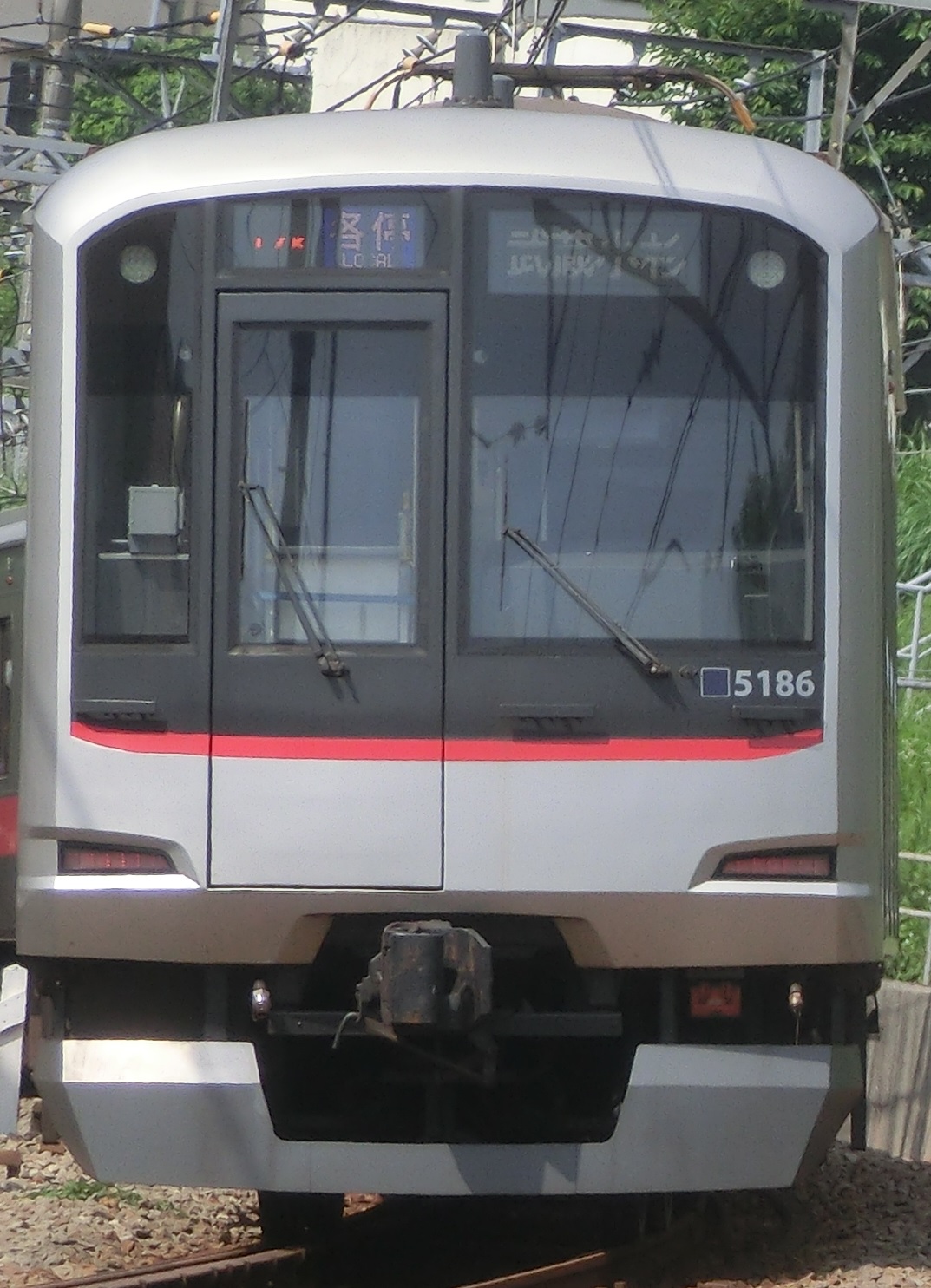 Tk-5186.jpg