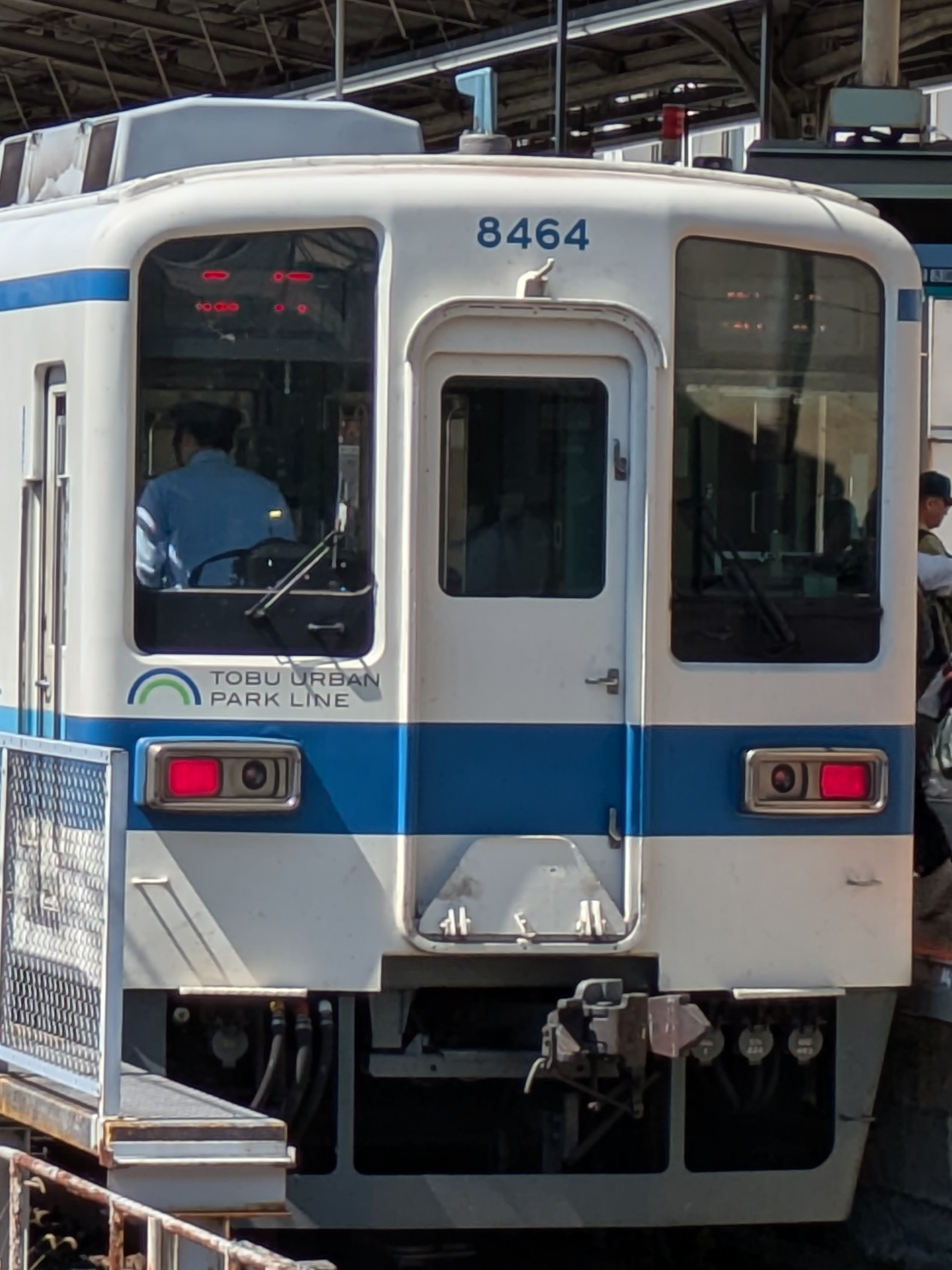 tb-8164.jpg