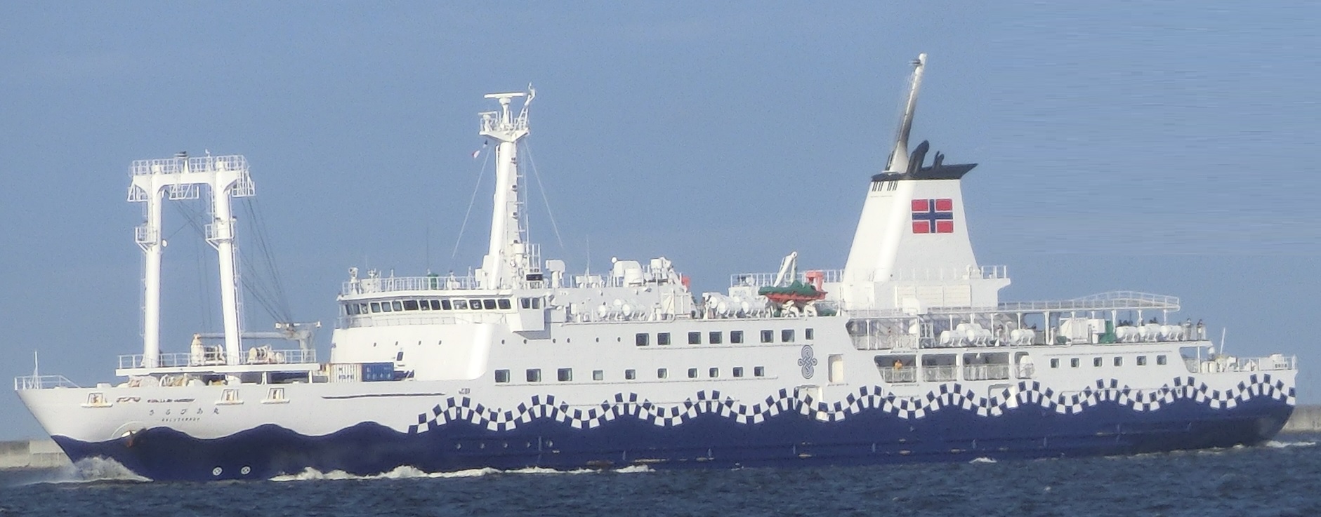 Sarubia-2.jpg