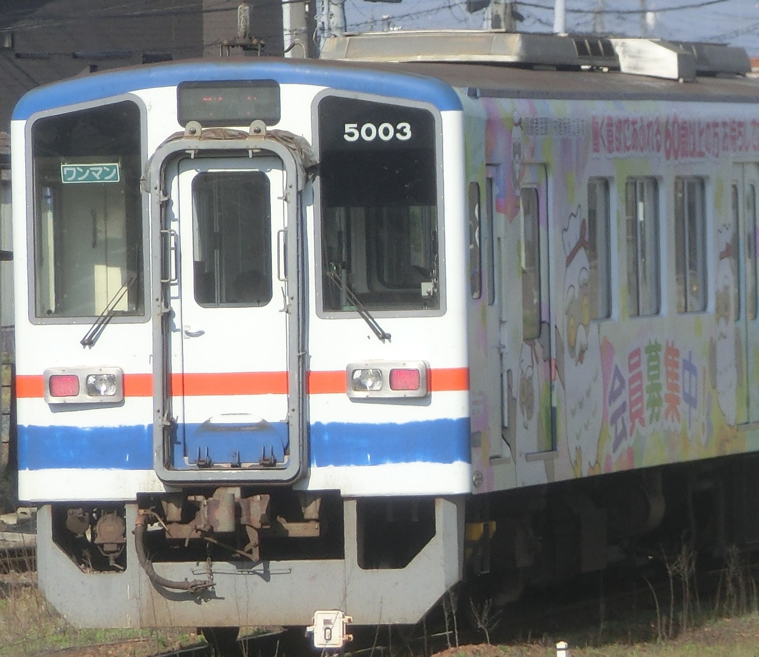Knto5003.jpg