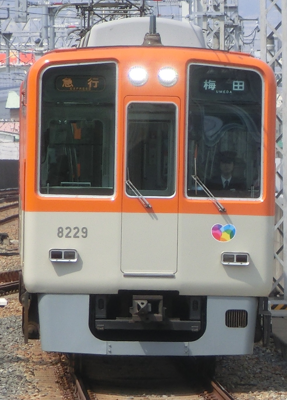 hs8229元.jpg