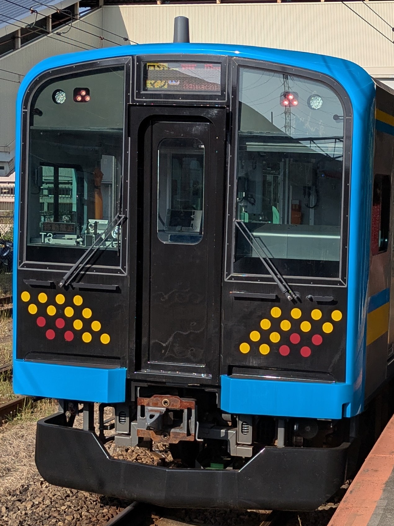 E131-T3.jpg