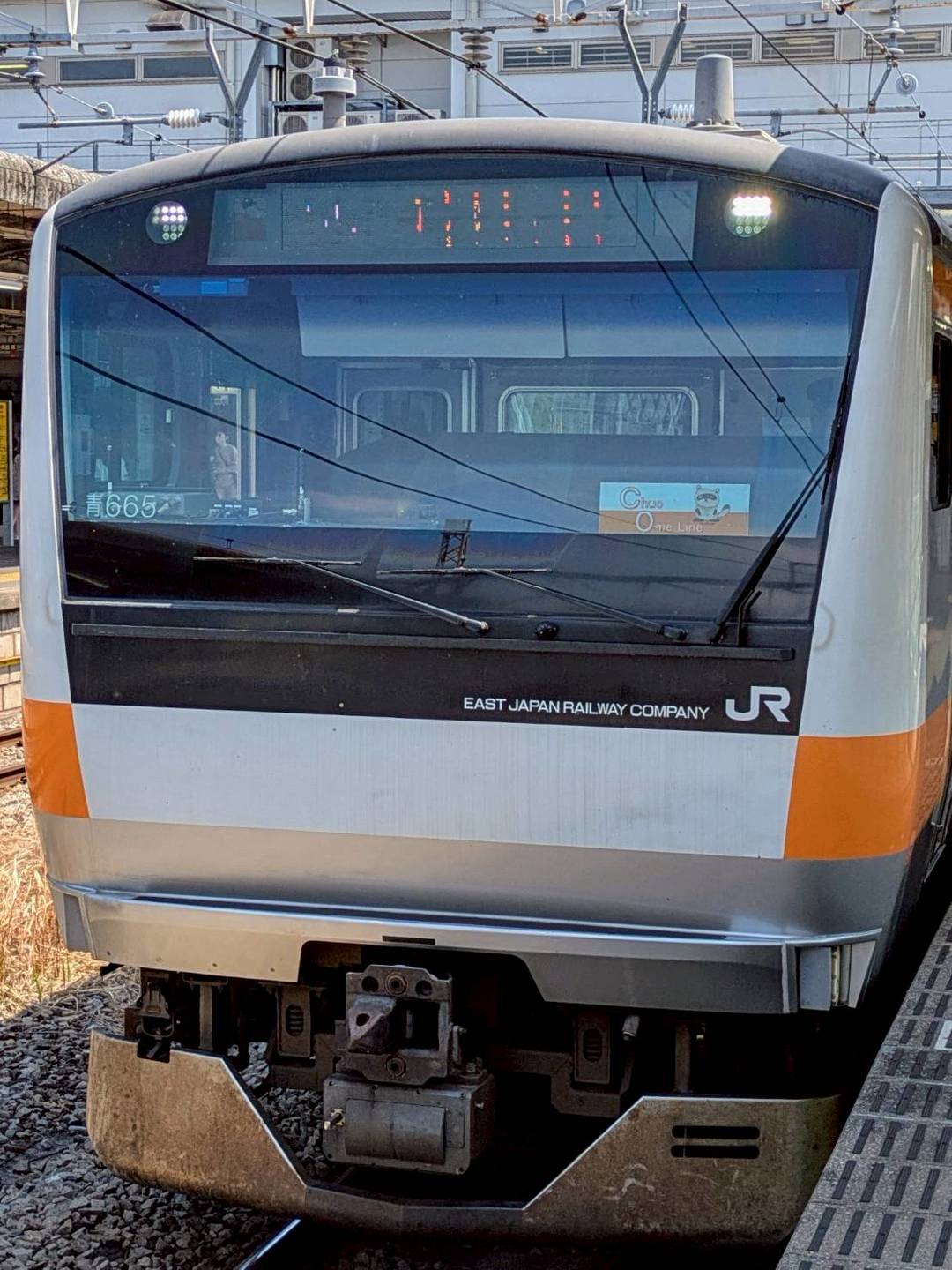 E233-AO665.jpg