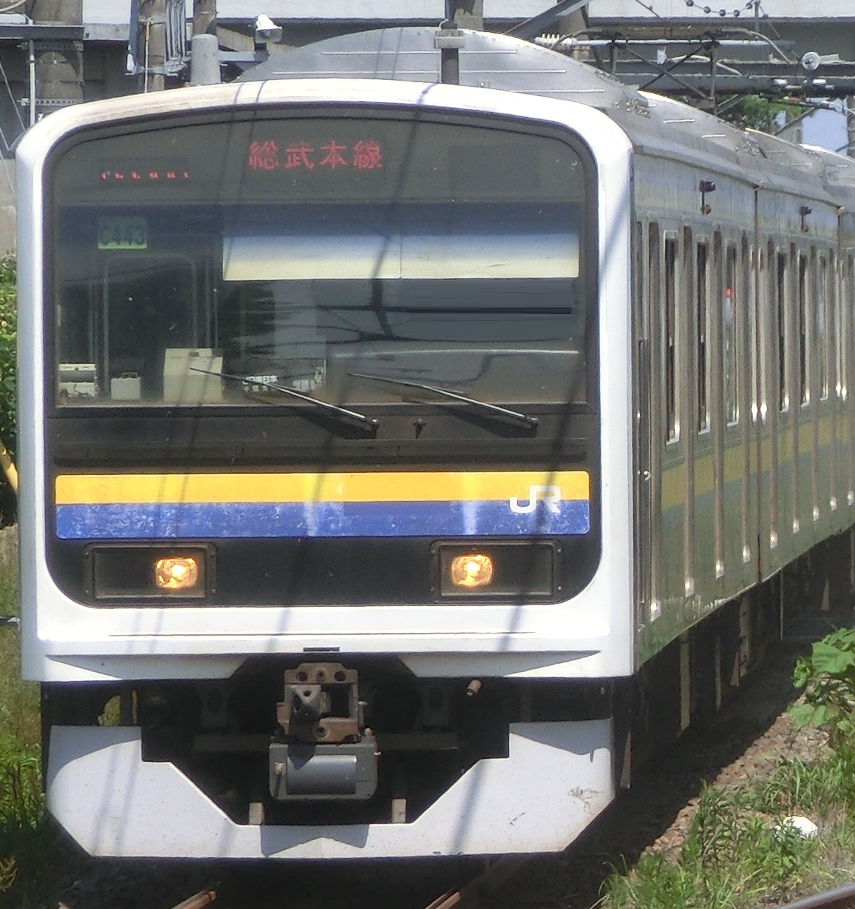 209-C443.jpg