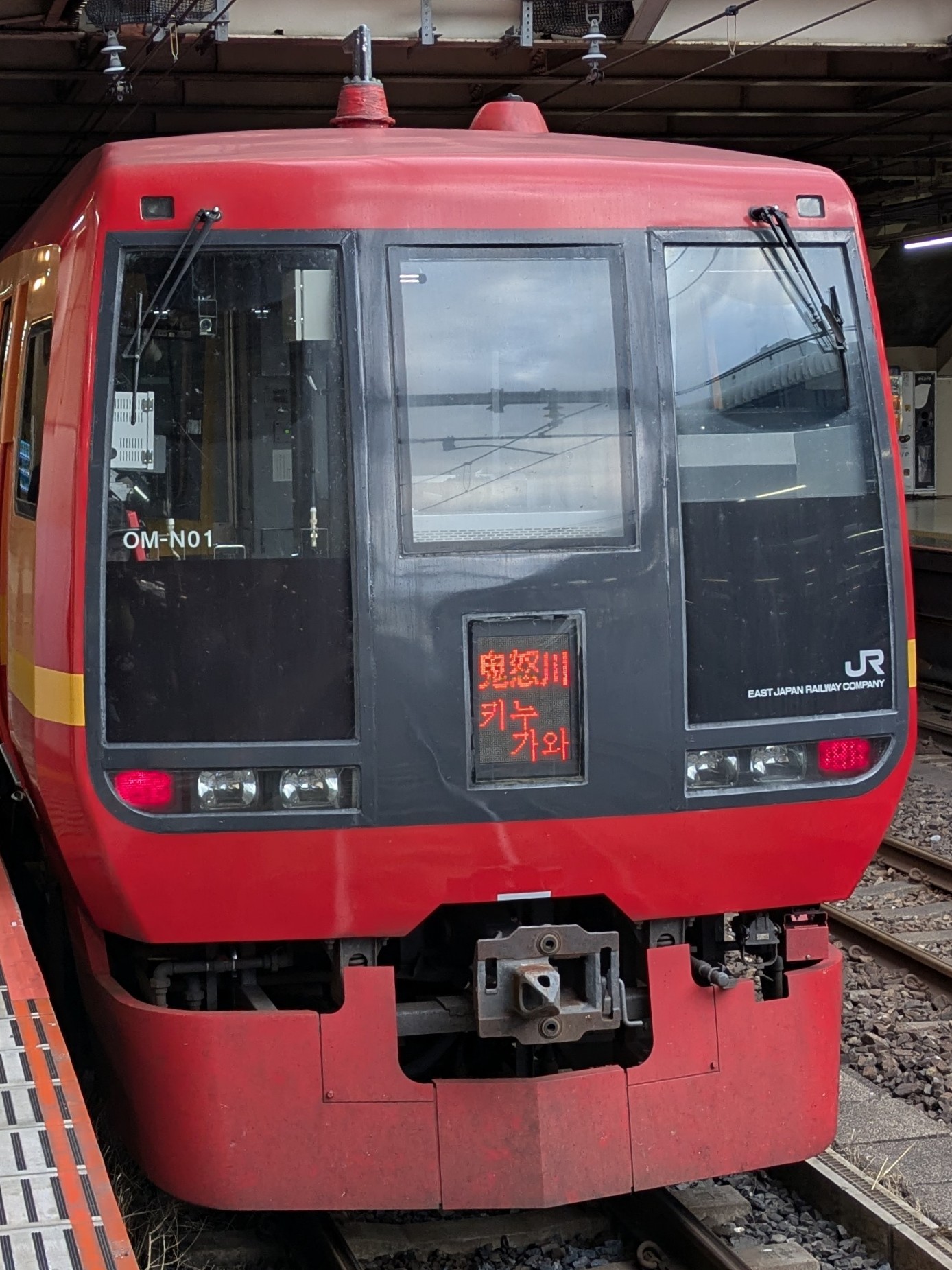 253-OM-N01.jpg